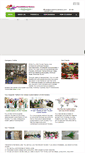 Mobile Screenshot of chinasilkflowerfactory.com